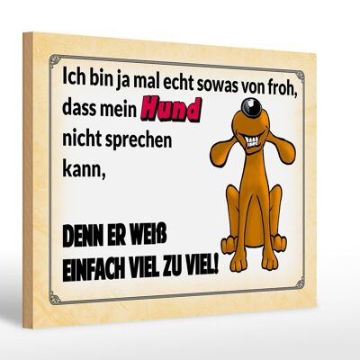 Holzschild Spruch 30x20cm mein Hund weiß einfach zuviel