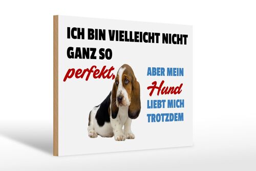 Holzschild Spruch 30x20cm mein Hund liebt mich trotzdem