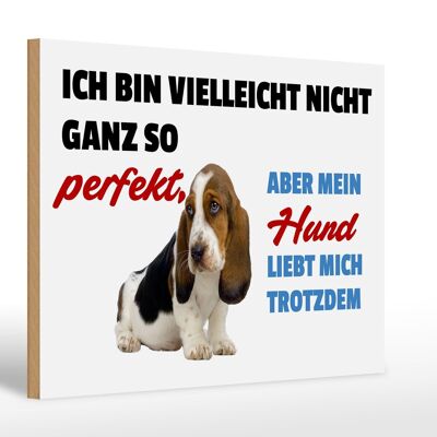 Holzschild Spruch 30x20cm mein Hund liebt mich trotzdem