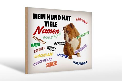 Holzschild Spruch 30x20cm mein Hund hat viele Namen