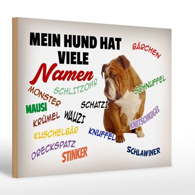 Holzschild Spruch 30x20cm mein Hund hat viele Namen