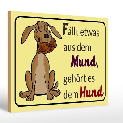 Holzschild Spruch 30x20cm fällt aus Mund gehört dem Hund