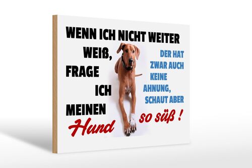 Holzschild Spruch 30x20cm wenn ich nicht weiter weiß Hund