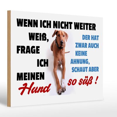 Holzschild Spruch 30x20cm wenn ich nicht weiter weiß Hund