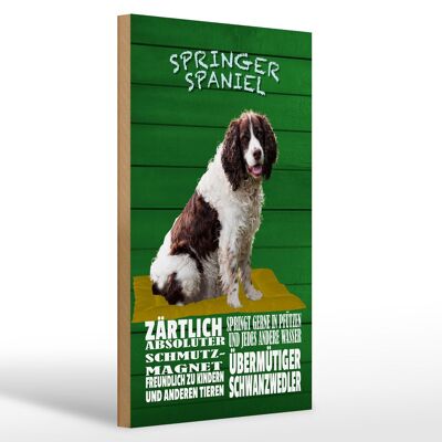 Holzschild Spruch 20x30cm Springer Spaniel Hund zärtlich