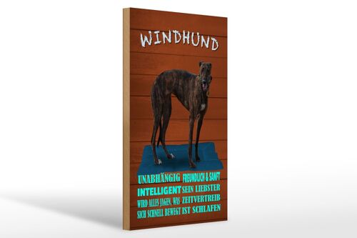 Holzschild Spruch 20x30cm Windhund Hund intelligent sanft