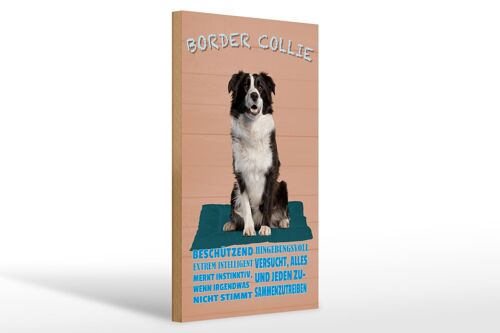 Holzschild Spruch 20x30cm Border Collie Hund intelligent