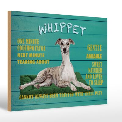 Letrero de madera que dice 30x20cm Whippet dog gentil y amable