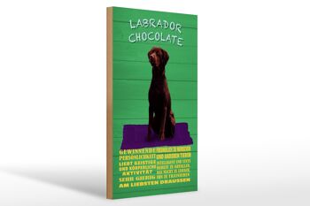 Panneau en bois indiquant 20x30cm, panneau vert Labrador Chocolate Dog 1