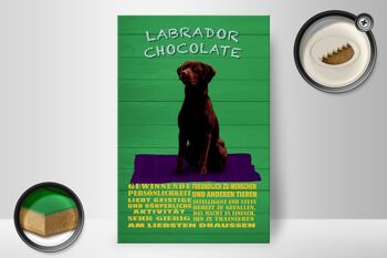 Panneau en bois indiquant 20x30cm, panneau vert Labrador Chocolate Dog 2