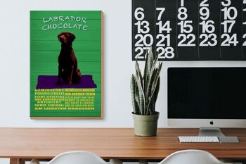 Panneau en bois indiquant 20x30cm, panneau vert Labrador Chocolate Dog 3