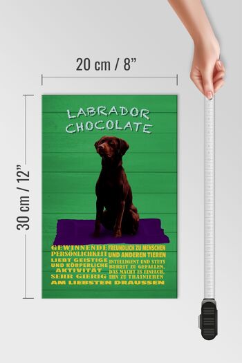 Panneau en bois indiquant 20x30cm, panneau vert Labrador Chocolate Dog 4