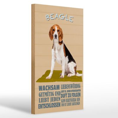 Cartello in legno con scritta 20x30 cm Il cane Beagle di buon carattere ama tutti