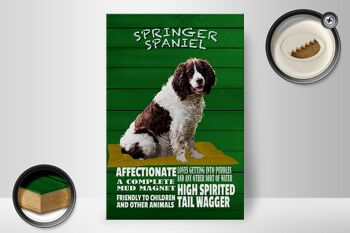 Panneau en bois indiquant 20x30cm Springer Spaniel dog friendly 2