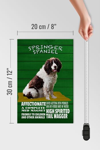 Panneau en bois indiquant 20x30cm Springer Spaniel dog friendly 4