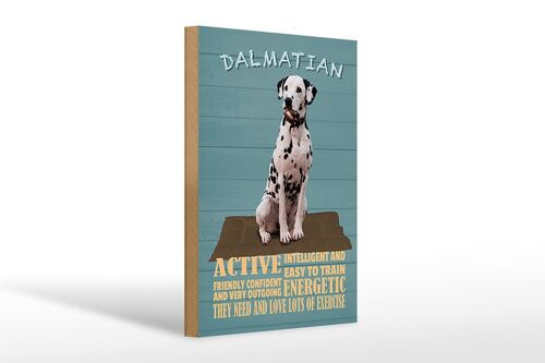 Holzschild Spruch 20x30cm Dalmatian Hund active and easy