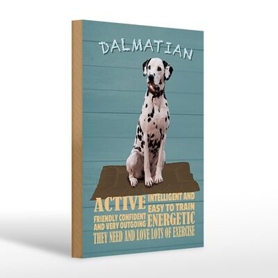 Holzschild Spruch 20x30cm Dalmatian Hund active and easy