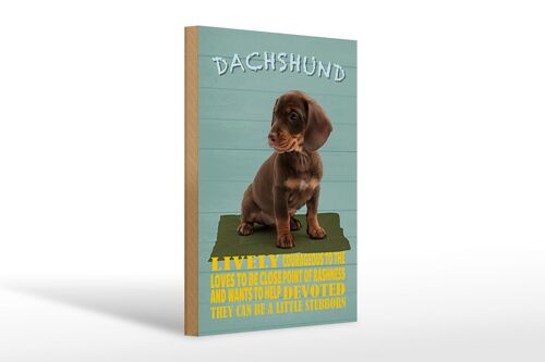 Holzschild Spruch 20x30cm Dachshund Hund lively devoted