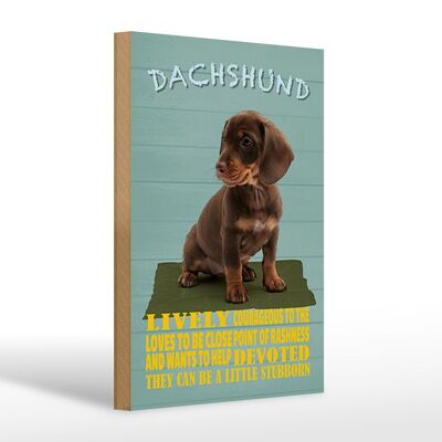 Wooden sign saying 20x30cm Dachshund dog lively devoted
