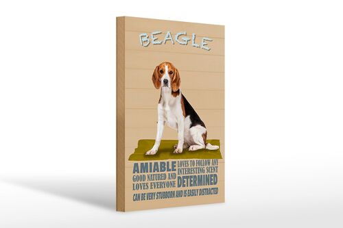 Holzschild Spruch 20x30cm Beagle Hund loves to follow any