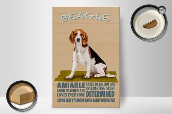 Panneau en bois disant 20x30cm Le chien Beagle aime suivre n'importe qui 2