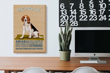 Panneau en bois disant 20x30cm Le chien Beagle aime suivre n'importe qui 3