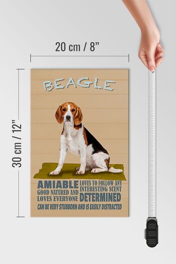 Panneau en bois disant 20x30cm Le chien Beagle aime suivre n'importe qui 4