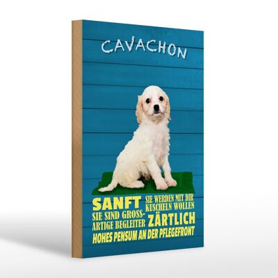Holzschild Spruch 20x30cm Cavachon Hund sanft zärtlich
