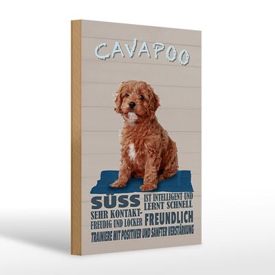 Holzschild Spruch 20x30cm Cavapoo Hund süss freundlich