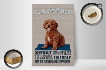 Panneau en bois disant 20x30cm Cavapoo dog sweet friendly 2