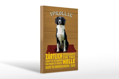 Holzschild Spruch 20x30cm Sprollie Hund zärtlich und treu