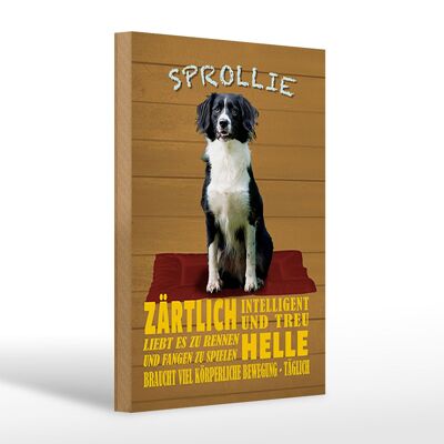 Holzschild Spruch 20x30cm Sprollie Hund zärtlich und treu