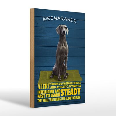 Holzschild Spruch 20x30cm Weimaraner Hund alert and steady