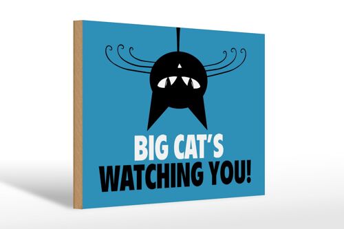 Holzschild Spruch 30x20cm Big cat`s watching you Katze