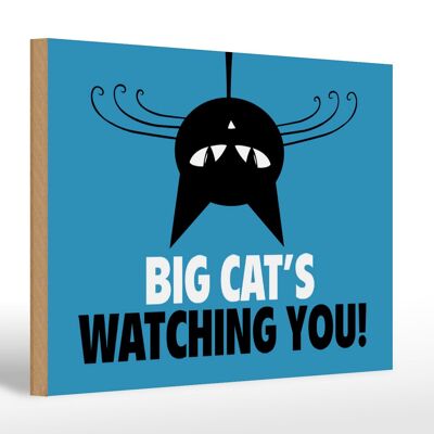 Holzschild Spruch 30x20cm Big cat`s watching you Katze