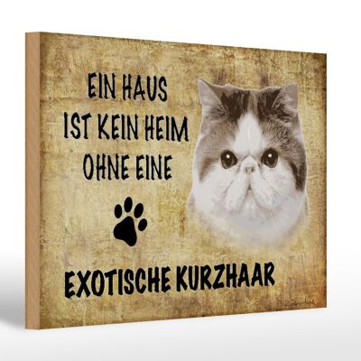 Holzschild Spruch 30x20cm exotische Kurzhaar Katze