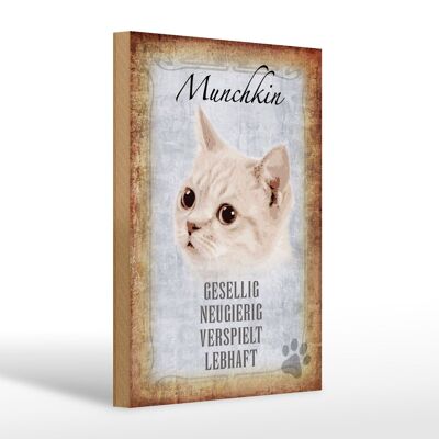 Holzschild Spruch 20x30cm Munchkin Katze lebhaft Geschenk