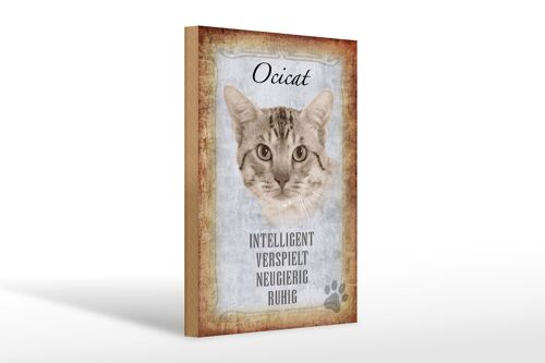 Holzschild Spruch 20x30cm Ocicat Katze verspielt Geschenk