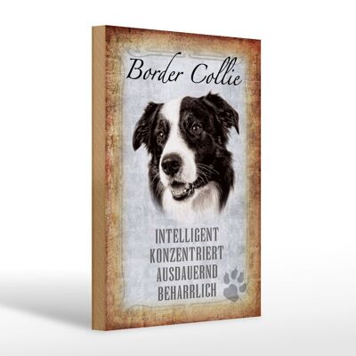 Holzschild Spruch 20x30cm Border Collie Hund Geschenk