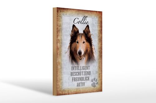 Holzschild Spruch 20x30cm Collie Hund freundlich Geschenk