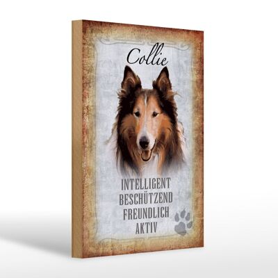 Holzschild Spruch 20x30cm Collie Hund freundlich Geschenk