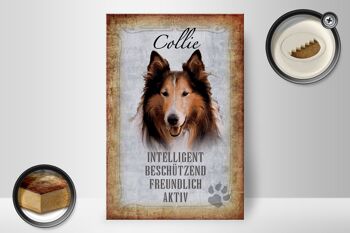 Panneau en bois disant 20x30cm Cadeau amical pour les chiens Collie 2