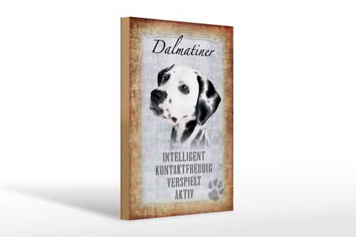 Holzschild Spruch 20x30cm Dalmatiner Hund Geschenk