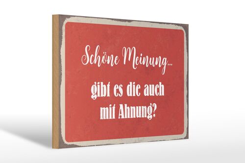 Holzschild Spruch 30x20cm schöne Meinung gibt mit Ahnung