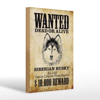Cartello in legno cane 20x30 cm cercasi regalo Siberian Husky