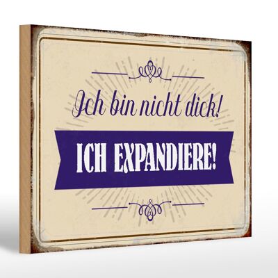 Holzschild Spruch 30x20cm bin nicht dick ich expandiere