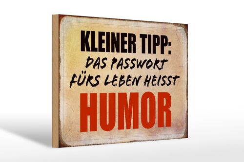 Holzschild Spruch 30x20cm kleiner Tipp das Passwort Humor