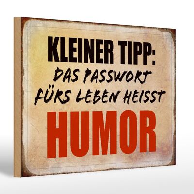 Holzschild Spruch 30x20cm kleiner Tipp das Passwort Humor