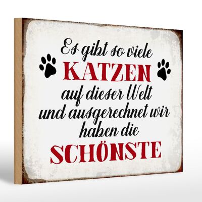 Holzschild Spruch 30x20cm wir haben die schönste Katze