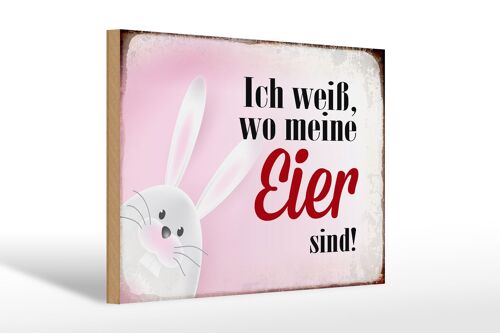 Holzschild Spruch 30x20cm Osterhase weiß wo Eier sind